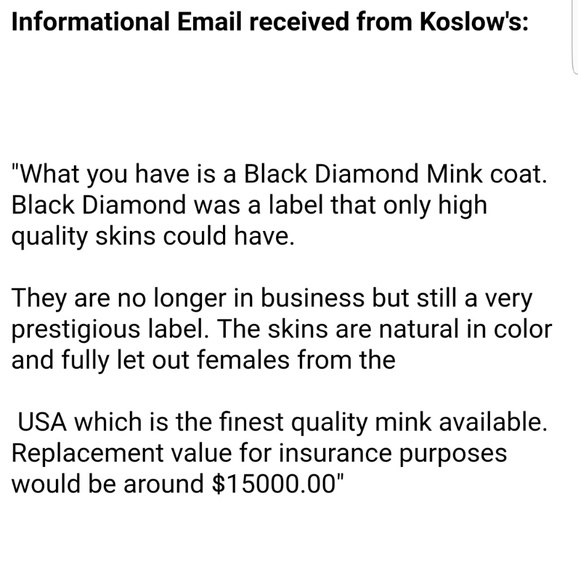 Mink Coat - Picture 6 of 6